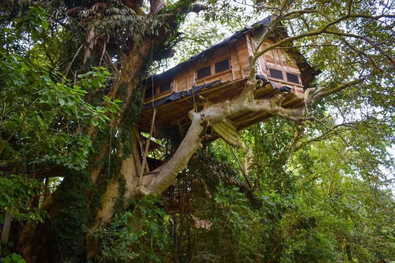 Kumbuk Tree House Βίλα Tissamaharama Εξωτερικό φωτογραφία