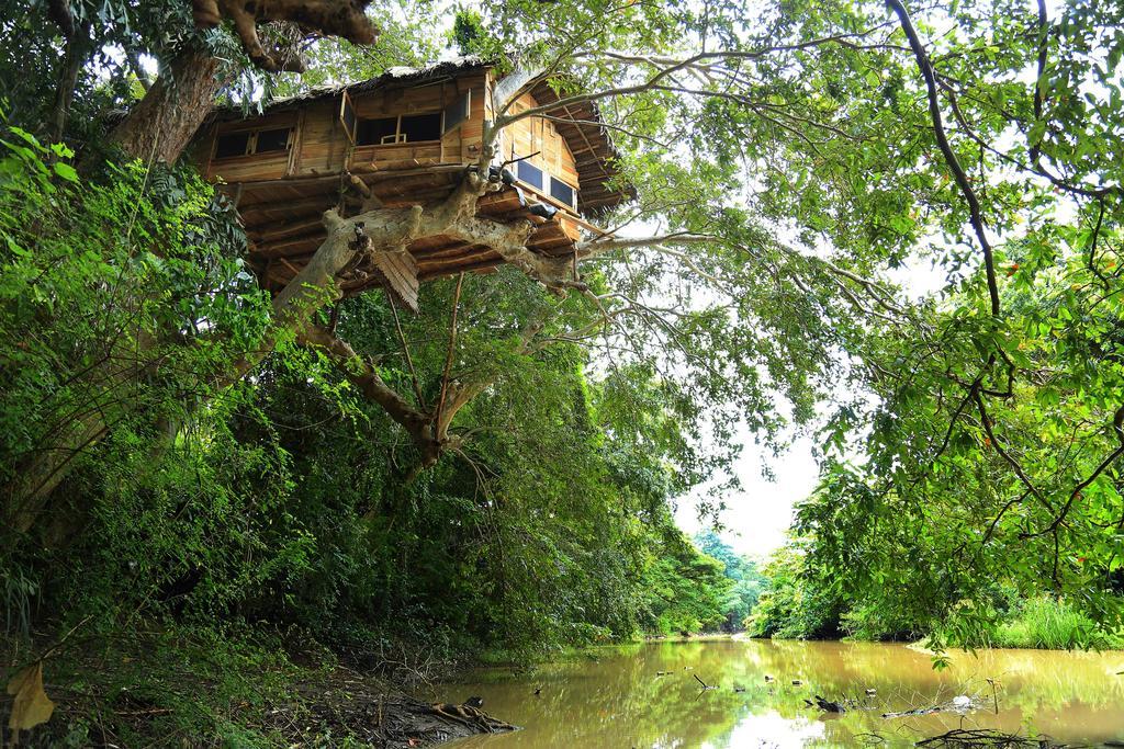 Kumbuk Tree House Βίλα Tissamaharama Εξωτερικό φωτογραφία